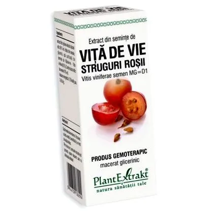 viniferae vitis