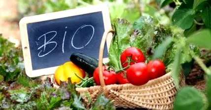 delivery biotermékeket