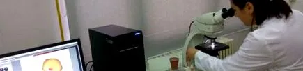 яссі