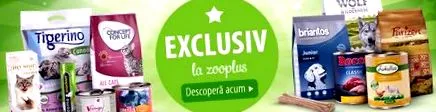 zooplus-nál alacsony áron