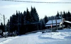 iskola