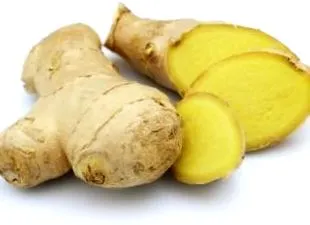 csipkebogyó