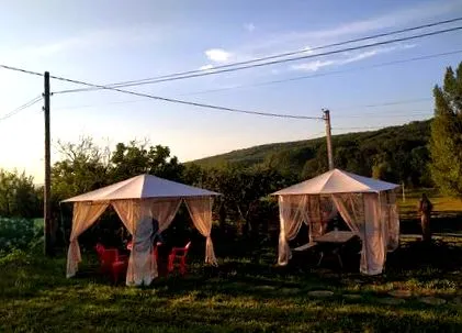 киргистански живее
