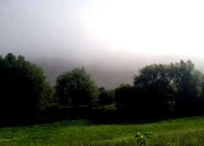 јурт јурт