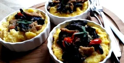 vadgomba fricassee