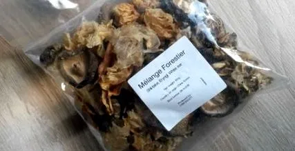 vadgomba vadgomba