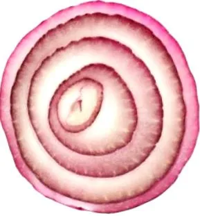 termesztési