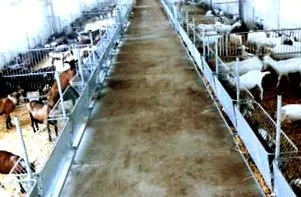 eszközök zootechnikai