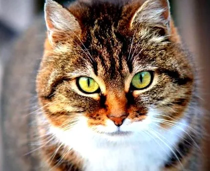2019-ben népszerű