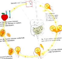 giardia