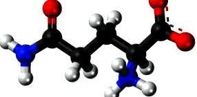 emberi test