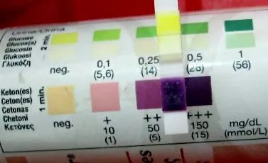 ingyenes keto