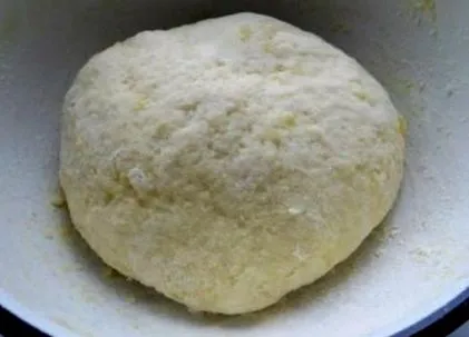 кога месо