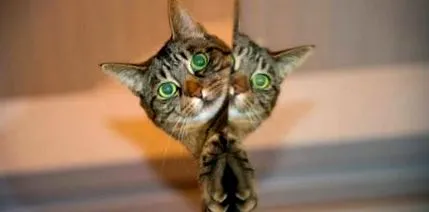 animált