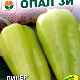 гібрид