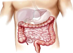 hepatitis