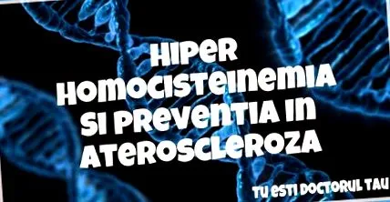 homocisztein metioninná