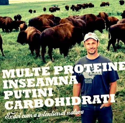 котів собак