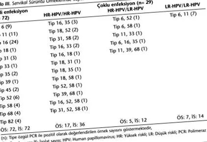 papilloma vírus