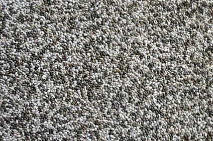 chia