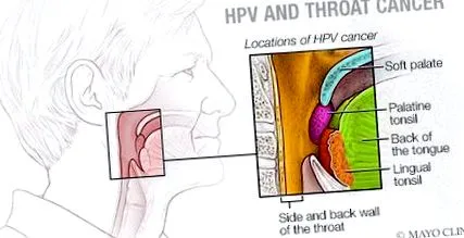 возраст