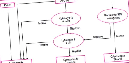 ascus