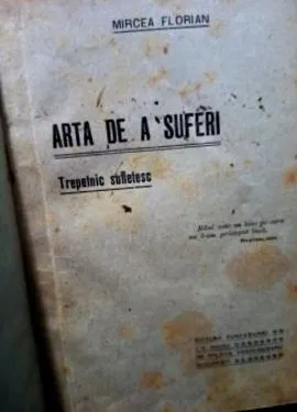 kalórie