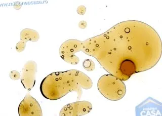 місія
