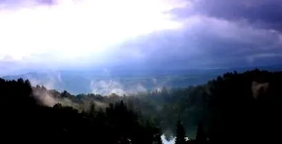 erdő erdei