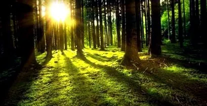 információk