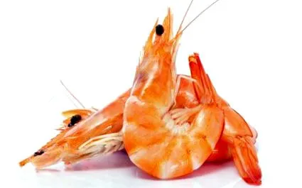 mamaplus