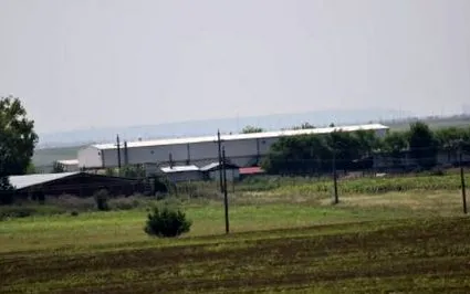 kizárólagos