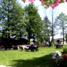 iulian