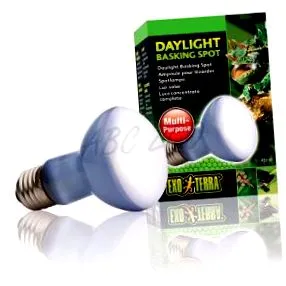 daylight exoterra