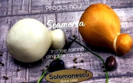 solomonescu-t lacto