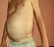 típusok