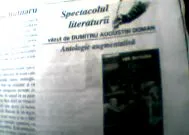 Irodalmi Románia