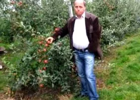 фелтічені
