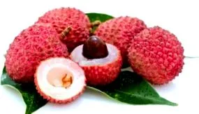 litchi litchi