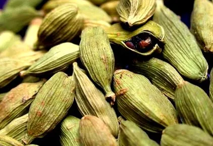 cardamom