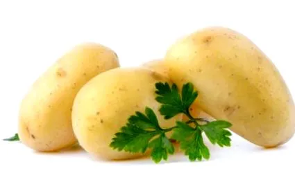 zöldségek