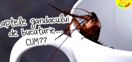 budúcnosti