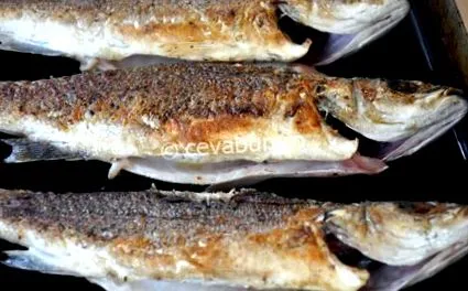 tengeri recept