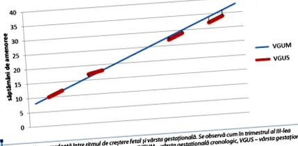 terhesség alatt anti-Ro anti-La