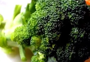 oldal tudomány