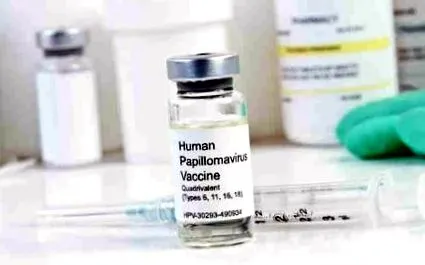 papilloma vírus vírus