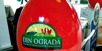 „Дин Огради“