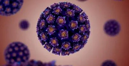 papilloma vírus vírus