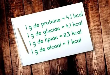 metabolizmus