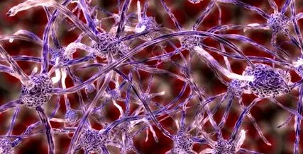 myasthenia